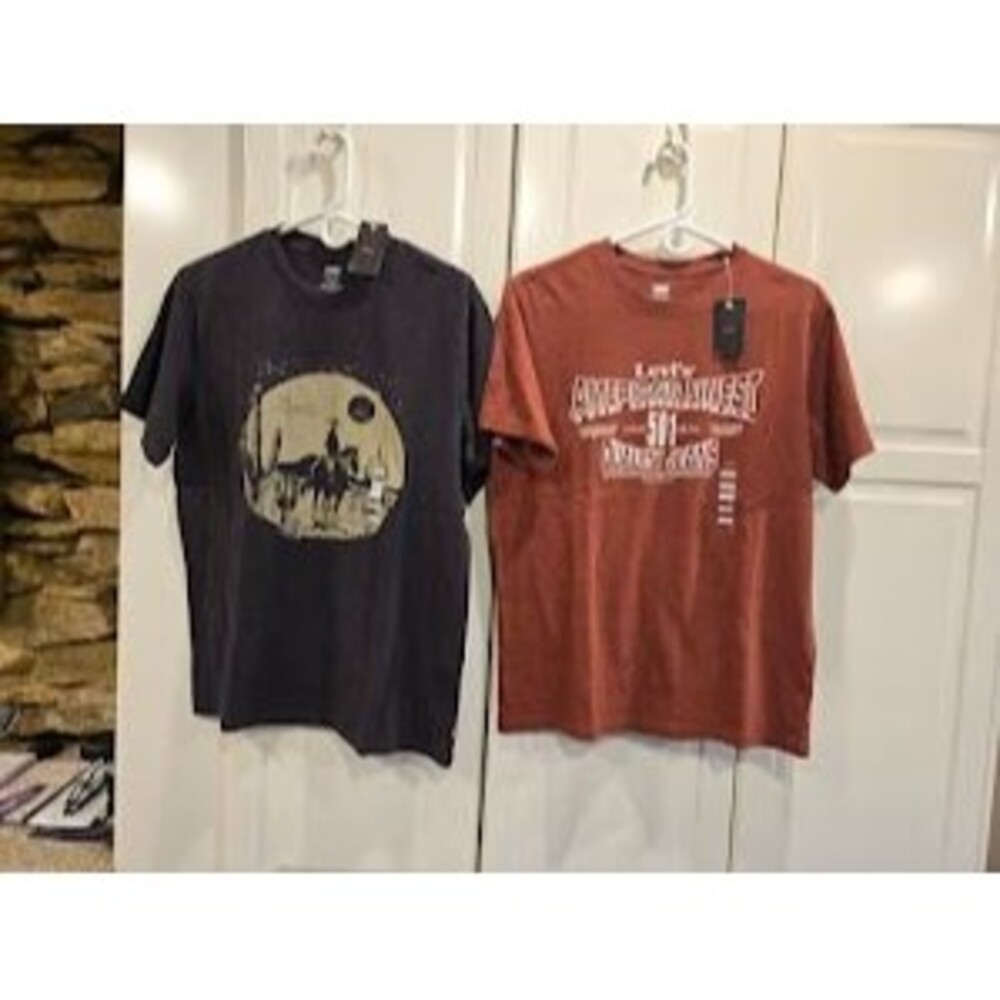 Levi's Relaxed Fit T-Shirts - Set of 2 - Mens size SMALL - NEW